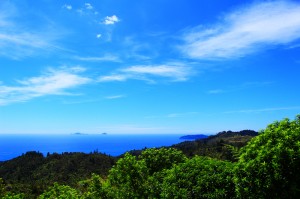 Sur la route de la péninsule de Coromandel, il y a plein d'endroit ou s'arrêter pour faire une pause sur la route, la photo en fait partie.