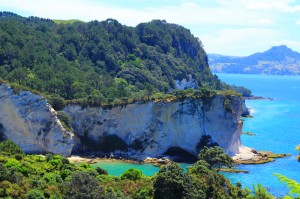 Cathedral Cove, c'est une plage sur la péninsule de Coromandel, avec de beaux rochers blanc et du sable fin, la plage a servi au tournage du premier "monde de Narnia".