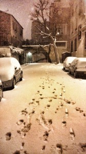 Paris sous la neige