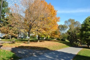 L'automne Montréalais