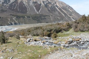 Arthur's Pass, un chemin de randonnée dans la nature