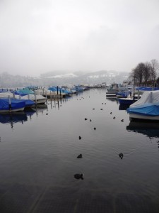 Le Port de Lucerne