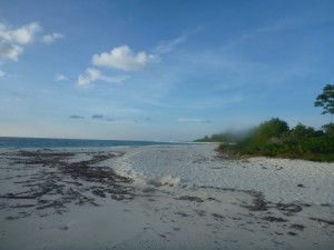 Bird Island, une des seules îles coraliennes (abordable pour le porte-monnaie) de l'archipel... 