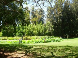 adelaidejardinbotanique