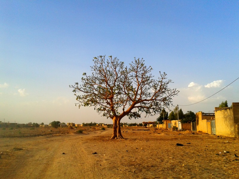 L’interview de Lucile, au Burkina Faso