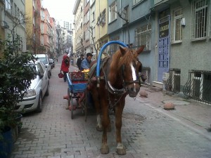 Vendeur de fruits à cheval