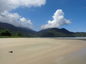 brazil ilha grande