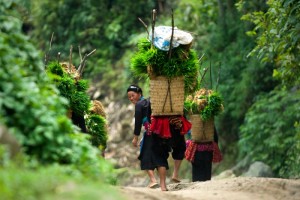 Une femme, au Nord du Viêt Nam