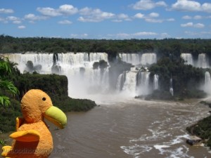 Moris à Iguazu