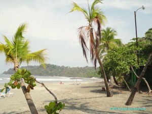 parc-national-manuel-antonio-49