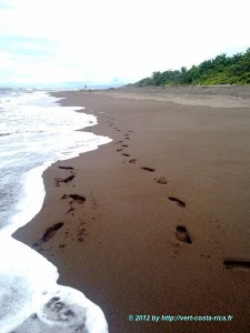 Parc National Tortuguero