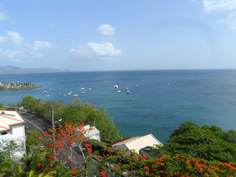 L’interview de Élodie, en Martinique