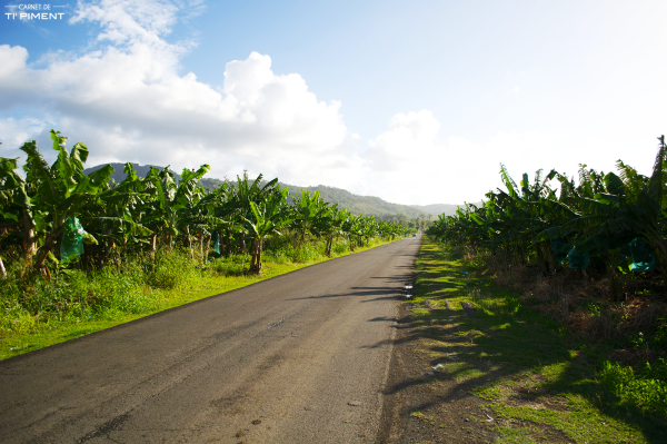 L’interview de Marjorie, en Martinique