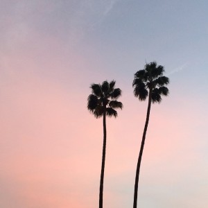 Coucher de soleil Beverly Hills