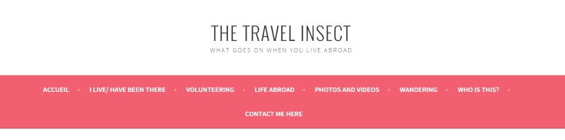 thetravelinsect