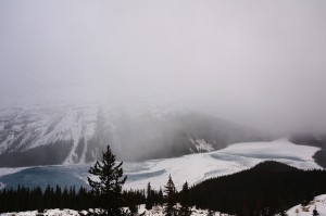 PEYTO-LAKE-45