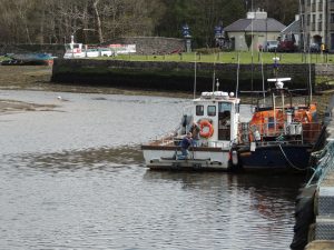 westport harbour port