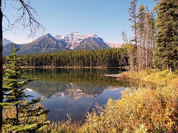 L’écotourisme au Canada pour un voyage insolite